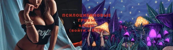 гидра Магадан