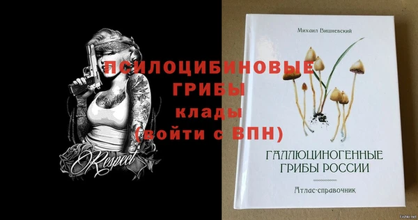spice Магас