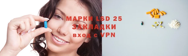 ешки Снежногорск