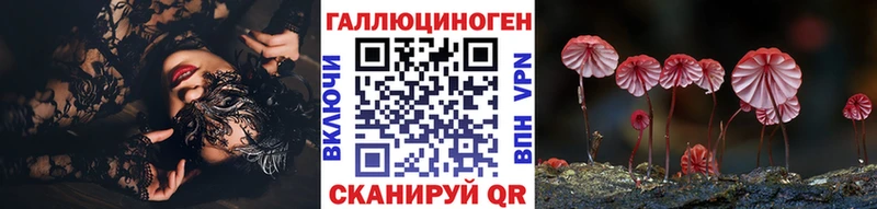 закладка  Холм  Псилоцибиновые грибы мицелий 